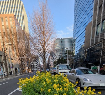 PXL_20260206_072632982