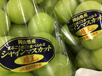 6B9E52CA-79F6-4980-93A1-BB1E3D0E0CDA