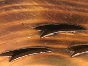 IMG_1038