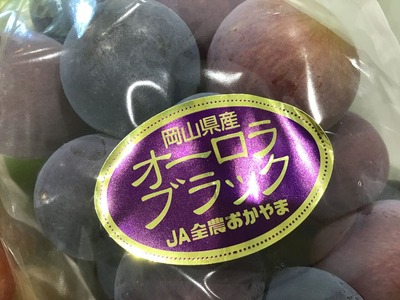 2B546423-BA74-411D-9EE1-62204798866B