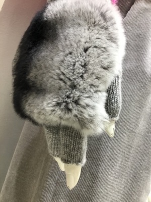 B7ECD68C-7652-49C0-9D27-10F8EE533C4F