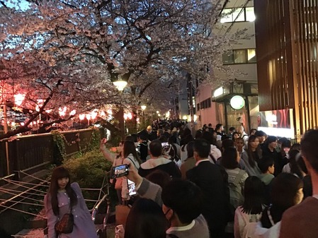 E9BCD20C-F5EC-4E6F-A952-21B8F2B9993F