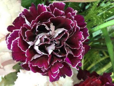 19AE1EEA-A9C1-4646-A6FB-F8473526ED7E