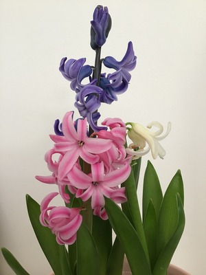 21568B9C-AC2E-470D-B42C-E296A6372FD3