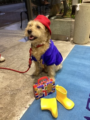 01E4DA63-1BC1-4C9B-8241-8E6C3815BD3C