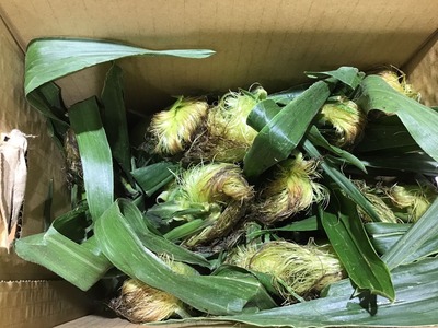 CC0C7773-4E07-4BFC-855E-65581405DEBF