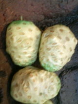 fc412e77.JPG