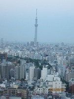IMG_0902