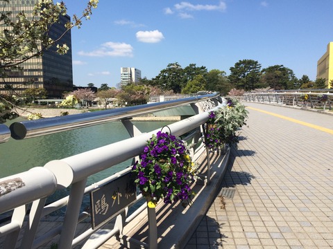 鴎外橋(水鳥の橋)