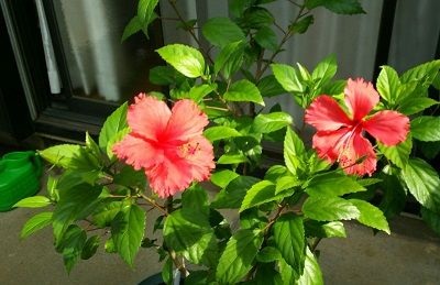 190827�餤����2