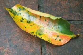 190914�ʎ׎ؤȡ���