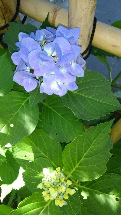 190618tai���۲ֳ���