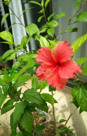 190815�餤����1