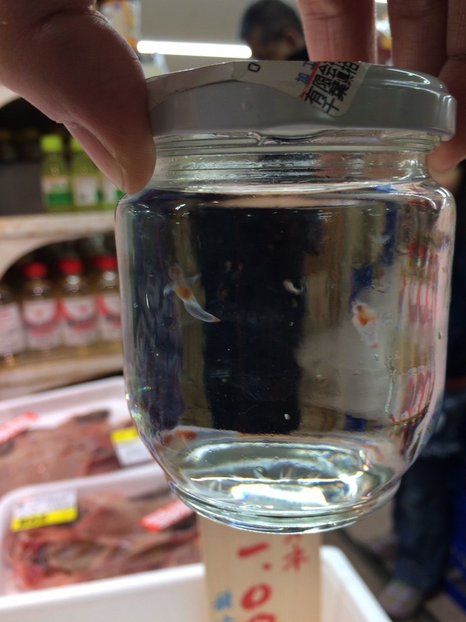 クリオネが鮮魚コーナーに Due Strade