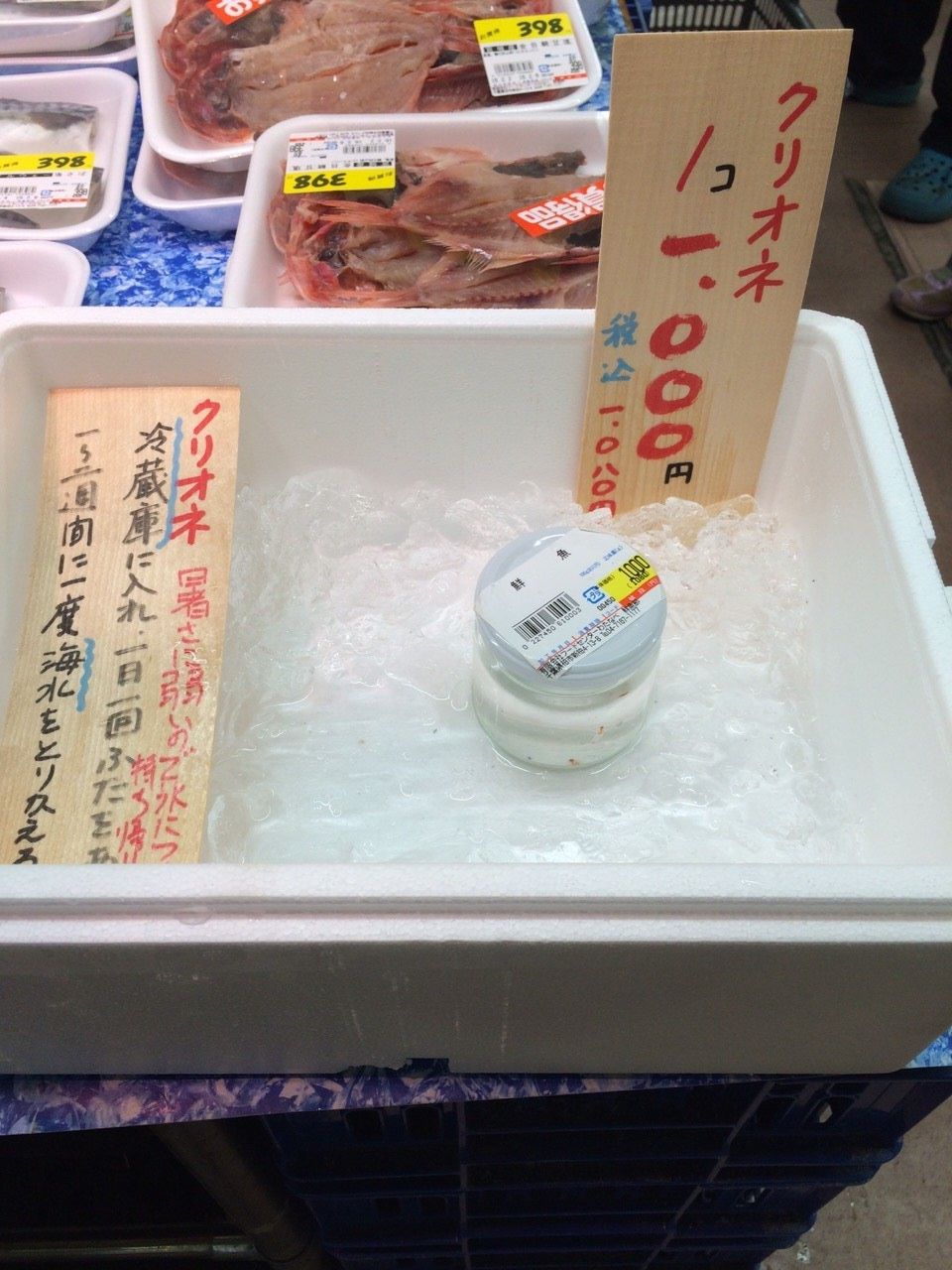 クリオネが鮮魚コーナーに Due Strade
