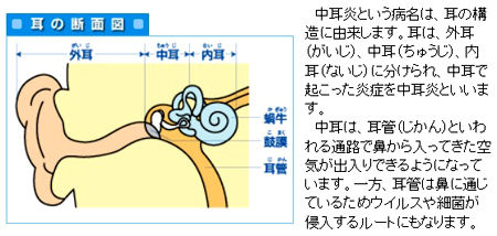 赤ちゃんの時に かかりやすい病気 について 急性中耳炎 情報交流をして友達いっぱい作りたいので よろしくお願いします 赤ちゃんの時に かかりやすい病気 について 急性中耳炎 情報交流をして友達いっぱい作りたいので よろしくお願いします