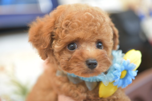 DSC_5843