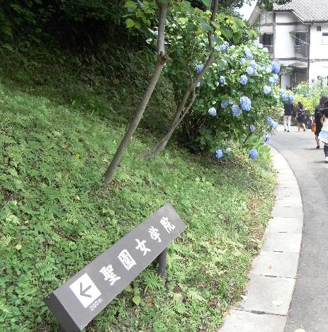 学校説明会 聖園女学院 ダンナの戯言 ラフランス編