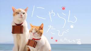 ジャランの にゃらん 猫にはまっちゃた エンタメ キヨジーの独り言 ジャランの にゃらん 猫にはまっちゃた エンタメ キヨジーの独り言