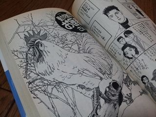 ヒヨちゃん、危機一髪！ : Dumb All Over “バカヤロばかり”