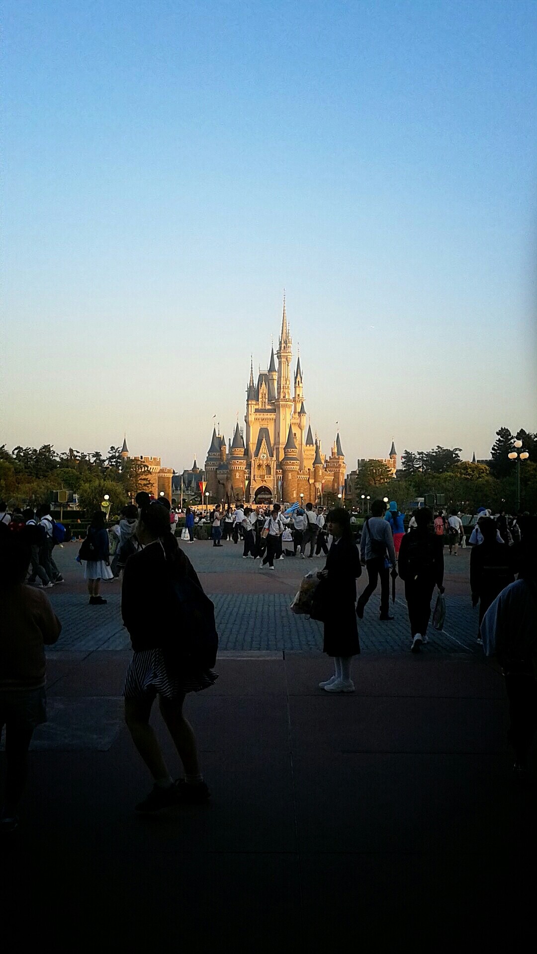 14日加筆 久々ランドにパークイン 15年5月13日 Tune My Love Disney 首都圏ディズニーマニアック 14日加筆 久々ランドにパークイン 15年5月13日 Tune My Love Disney 首都圏ディズニーマニアック