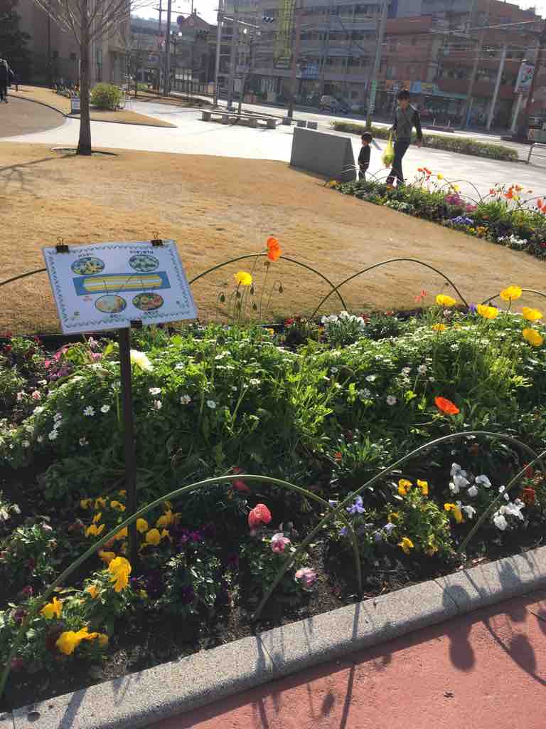 photomemo 鹿児島市 上荒田町 上荒田の杜公園