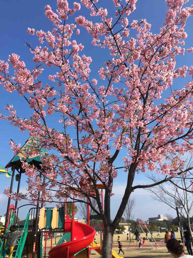 photomemo 鹿児島市 上荒田町 上荒田の杜公園