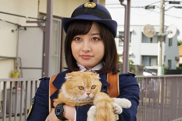 【朗報】橋本環奈初ヒロイン『警視庁いきもの係』の初回視聴率ｗｗｗｗ