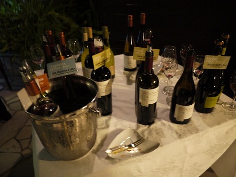cono_sur_party2