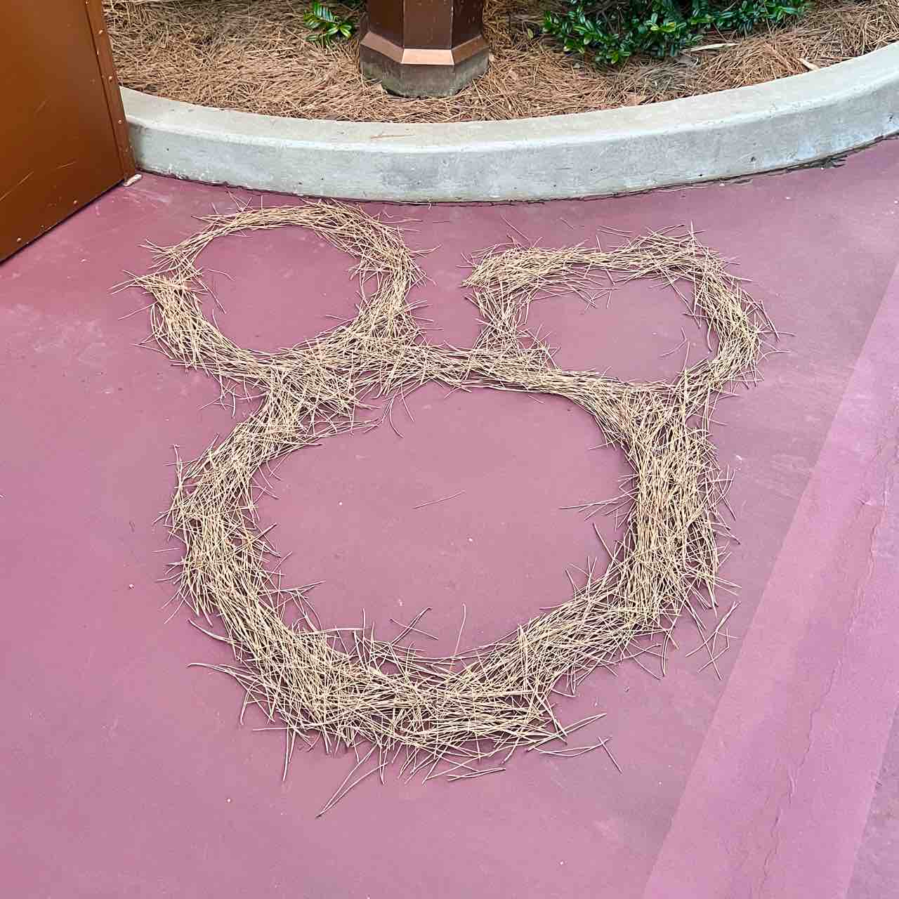 すごい隠れミッキー見つけたよ❣️ : 噂のDヲタくんのディズニーレポート