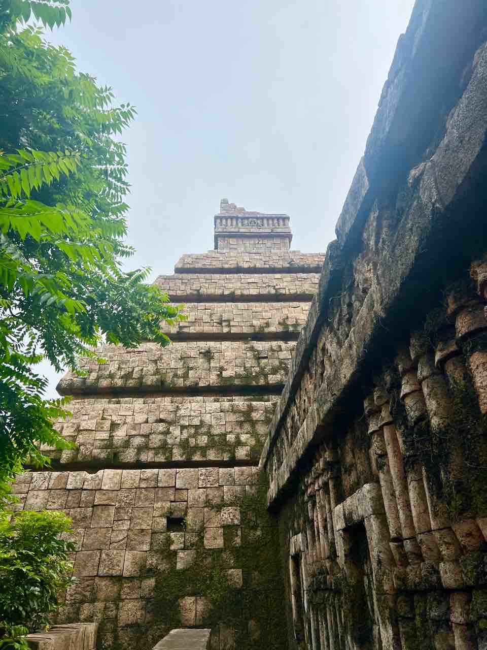 インディジョーンズを途中退出すると 噂のdヲタくんのディズニーレポート