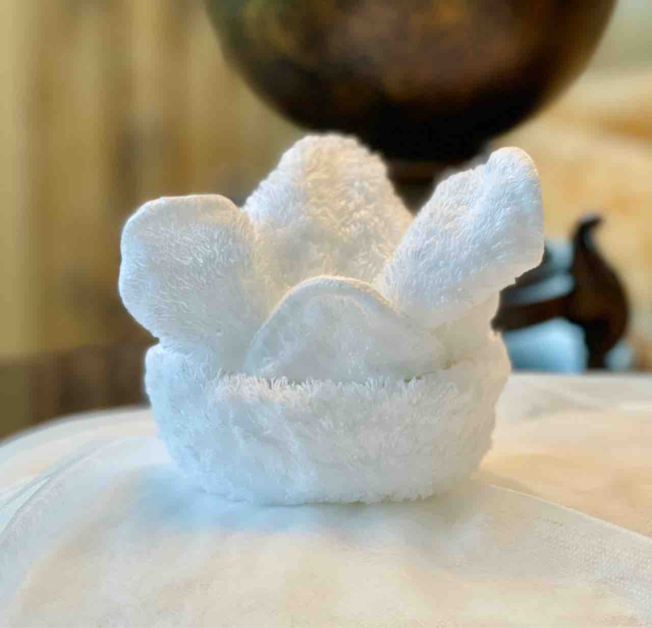 子供の日に貰ったタオルアート ディズニーホテル 噂のdヲタくんのディズニーレポート