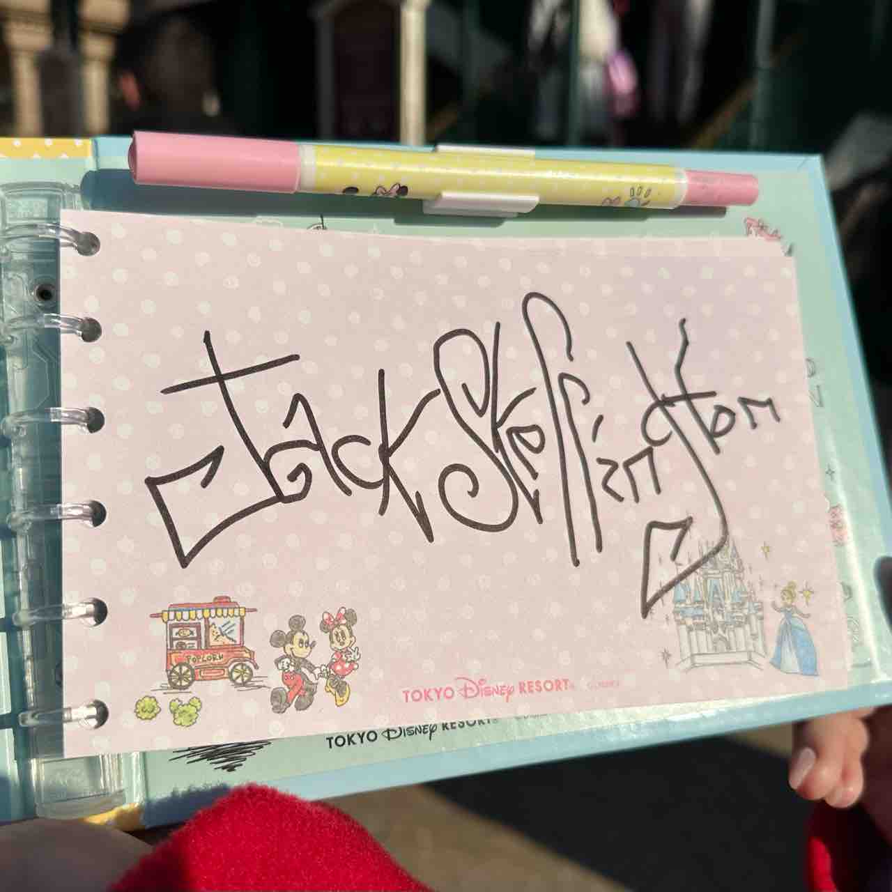 1日でもらったディズニーキャラからのサイン ディズニーランドパリ 噂のdヲタくんのディズニーレポート