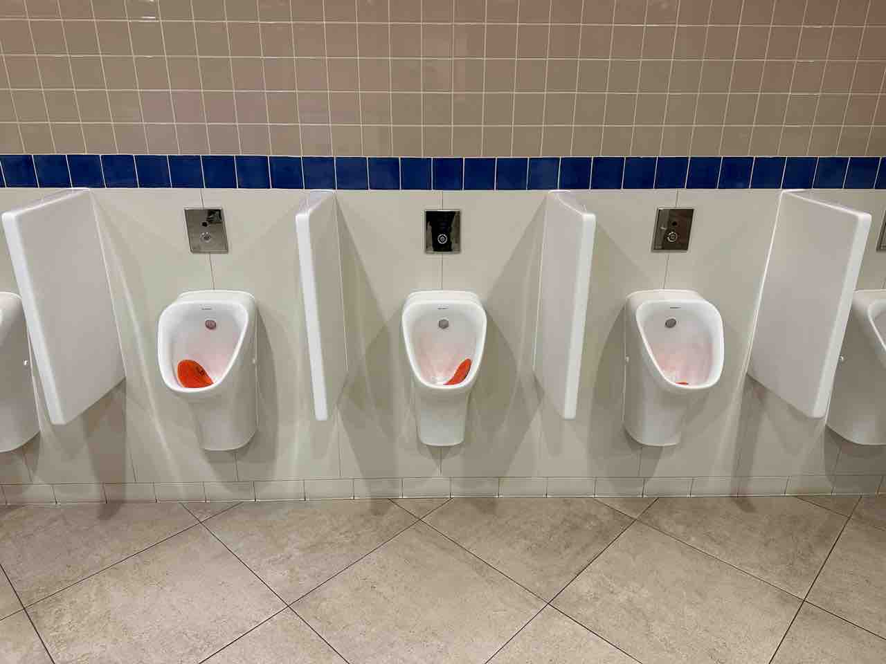 パリディズニーのトイレ紹介 噂のdヲタくんのディズニーレポート パリディズニーのトイレ紹介 噂のdヲタくんのディズニーレポート