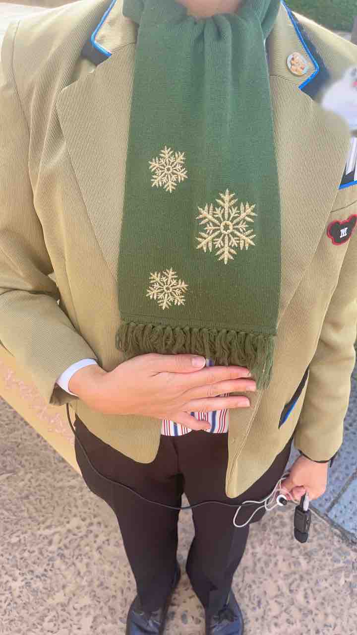 キャストさんの服装がクリスマス仕様になりました 噂のdヲタくんのディズニーレポート