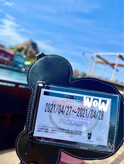 ディズニー バケーションパッケージ フリードリンク券 【公式通販】