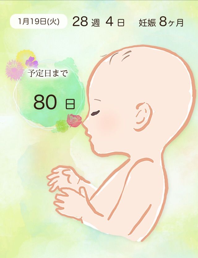 [コンプリート！] 28 週 赤ちゃん 68084128 週 赤ちゃん 下がる