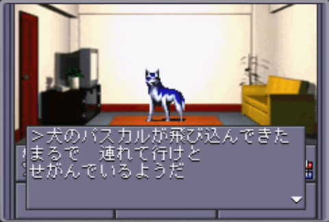 3257573478dff5bdc87ee63f32bd4f11