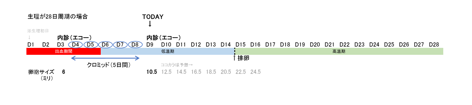 ミリ 排卵 何