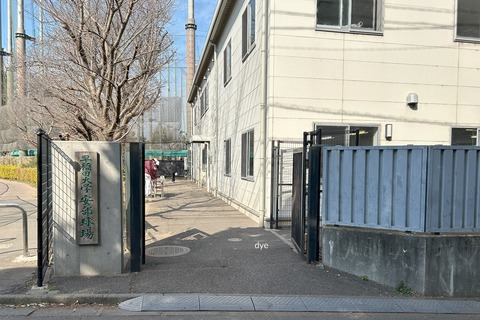 2025-02-28_09-46-46_357