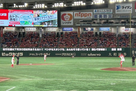 2024-07-19_20-30-50_049