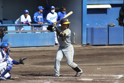 井坪