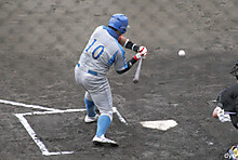 7a44c0f3.jpg
