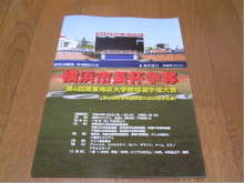 8514062c.jpg