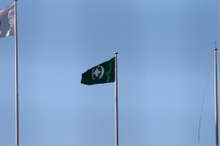 980d84d7.jpg