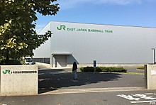 cf46e7f8.jpg