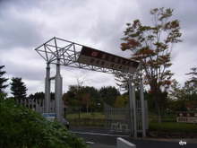 dc67dbb6.jpg