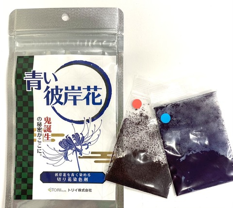 青い彼岸花キットを発売しました : オリジナルカラーな切り花を 青い彼岸花キットを発売しました : オリジナルカラーな切り花を