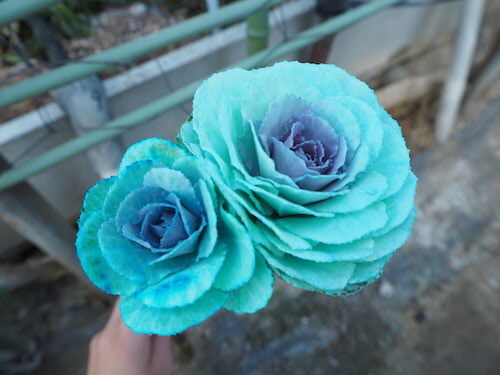 牡丹白蝶』 お正月壁掛けブーケ 限定品 牡丹白蝶』 お正月壁掛けブーケ