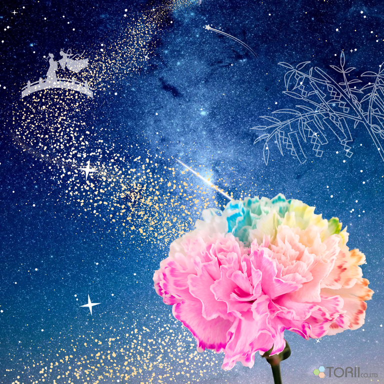 七夕 織姫 彦星 たなばた tanabata 夏のイベント 夏 フラワーパレット